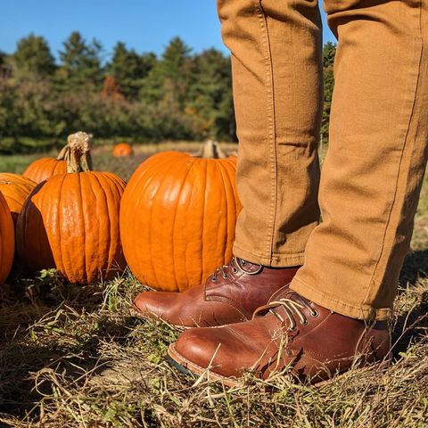 Oak Street Bootmakers Field Boot in Seidel Light Brown Mustang