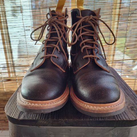 Tricker's Burford Plain Derby Boot in Horween Java Waxed Flesh