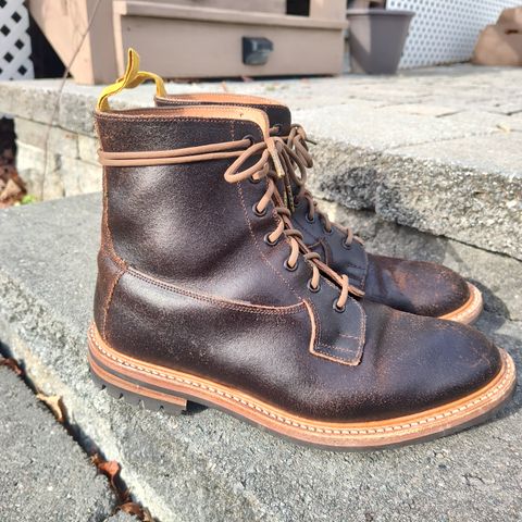 Tricker's Burford Plain Derby Boot in Horween Java Waxed Flesh