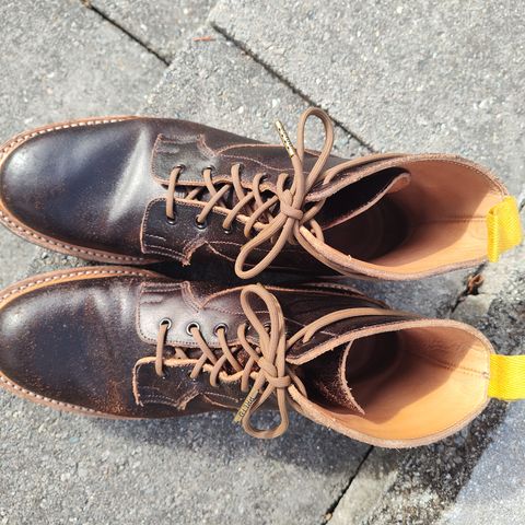 Tricker's Burford Plain Derby Boot in Horween Java Waxed Flesh
