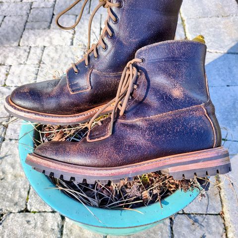 Tricker's Burford Plain Derby Boot in Horween Java Waxed Flesh