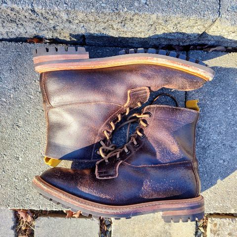 Tricker's Burford Plain Derby Boot in Horween Java Waxed Flesh