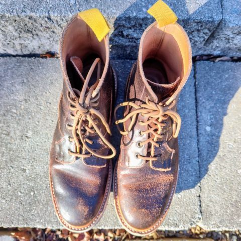 Tricker's Burford Plain Derby Boot in Horween Java Waxed Flesh