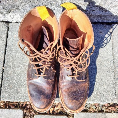 Tricker's Burford Plain Derby Boot in Horween Java Waxed Flesh
