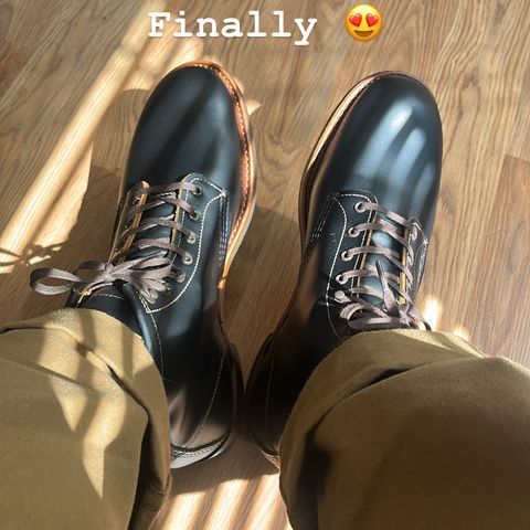 Red Wing Beckman Flatbox in S.B. Foot Black Klondike