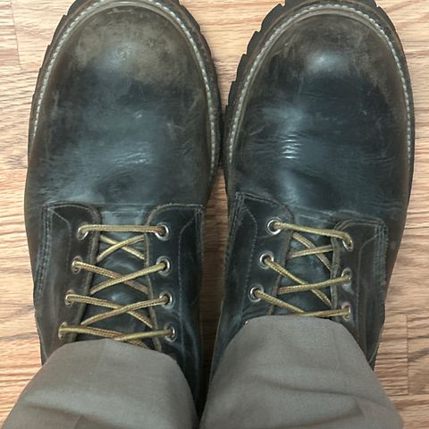 Red Wing 699 Logger