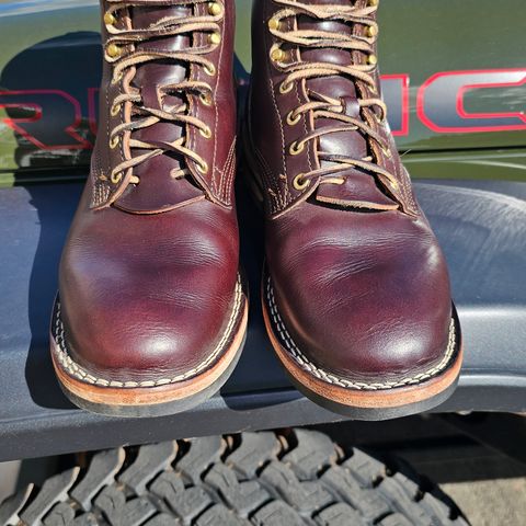 Nicks Free Range in Wickett & Craig Dark Brown English Bridle