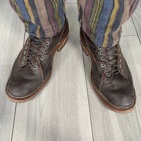 White's 350 Cutter in Seidel Brown Dress