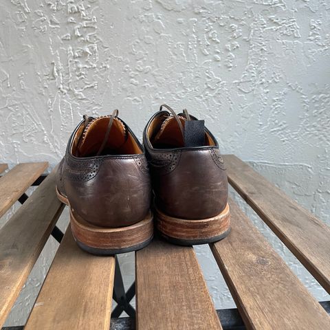 View photo of Viberg Brogue Shoe in Dust Calf