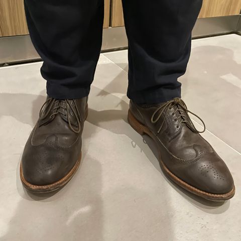 Viberg Brogue Shoe in Dust Calf