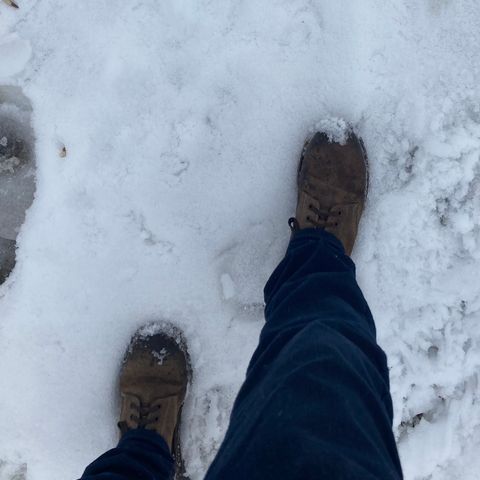 Oak Street Bootmakers Field Boot in Horween Natural Chromexcel Roughout