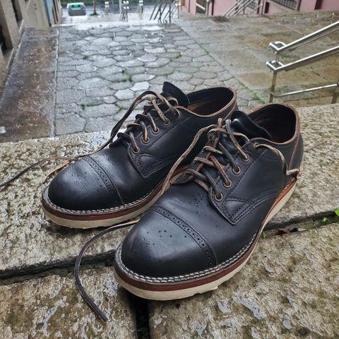 Viberg 145 Oxford in Horween Black Chromexcel