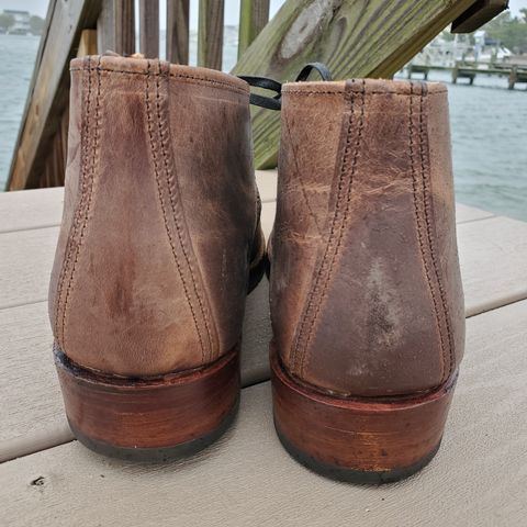 Red Wing Beckman Chukka in S.B. Foot Unknown Leather