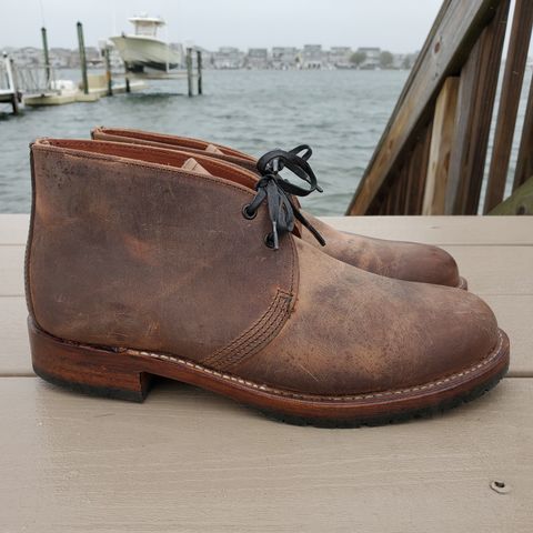 Red Wing Beckman Chukka in S.B. Foot Unknown Leather