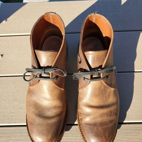 Red Wing Beckman Chukka in S.B. Foot Unknown Leather
