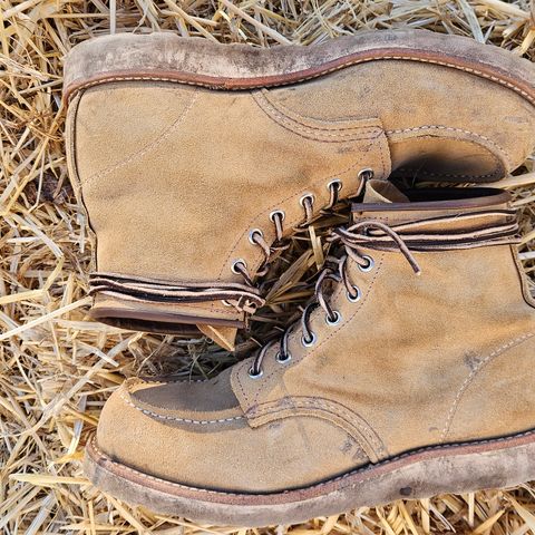 Search result thumbnail of Red Wing 6-Inch Classic Moc in S.B. Foot Hawthorne Abilene