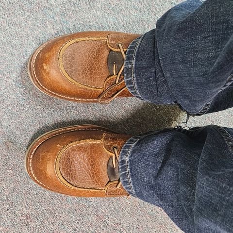 Truman Moc Toe in Cognac Shrunken Bison