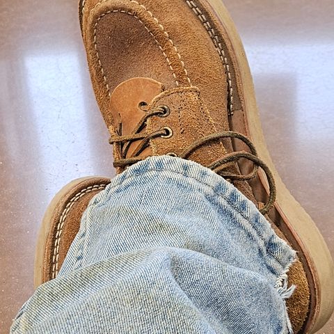 View photo of Nicks Aldert Strider Moc Toe in Seidel 1964 Tan Roughout