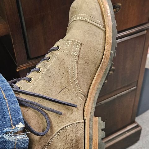 Truman Service Boot in C.F. Stead Storm Kudu