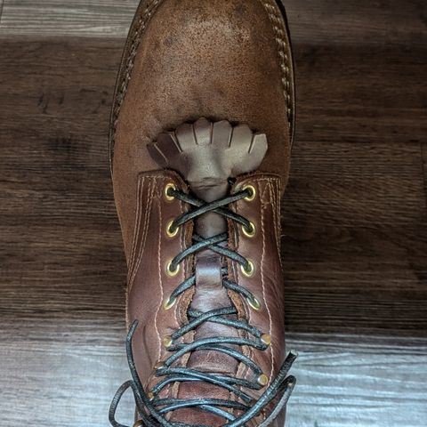 Search result thumbnail of Nicks BuilderPro in Seidel 1964 Walnut & Seidel 1964 Walnut Roughout