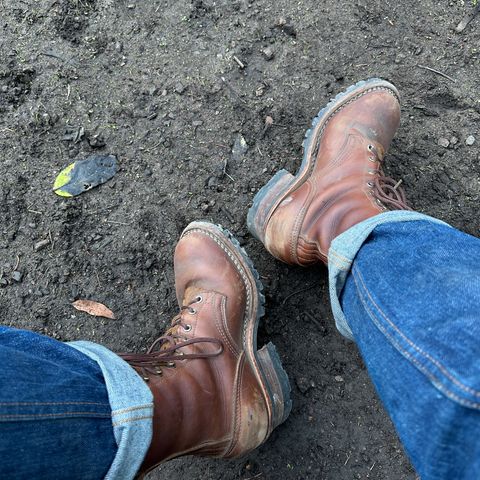 Nicks BuilderPro in Seidel 1964 Brown