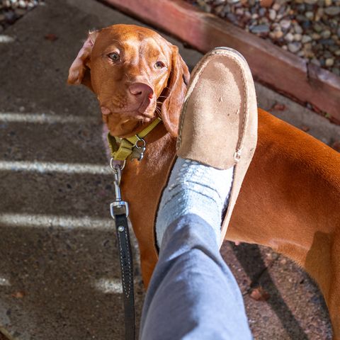 Rancourt & Co. Bristol Venetian in Horween Marine Field Roughout