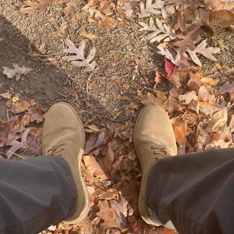Oak Street Bootmakers Trench Boot in Horween Natural Chromexcel Roughout