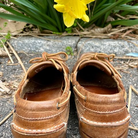 View photo of Sebago Schooner in Brown Tan Crazy Horse