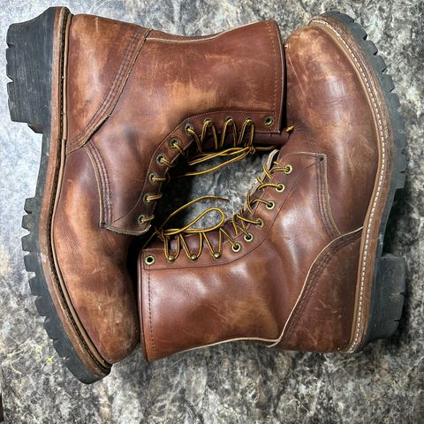 Red Wing Logger in S.B. Foot Oro Harness
