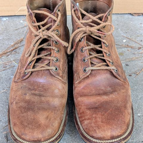 Viberg Service Boot in Maryam Toscanello TPR Horsebutt