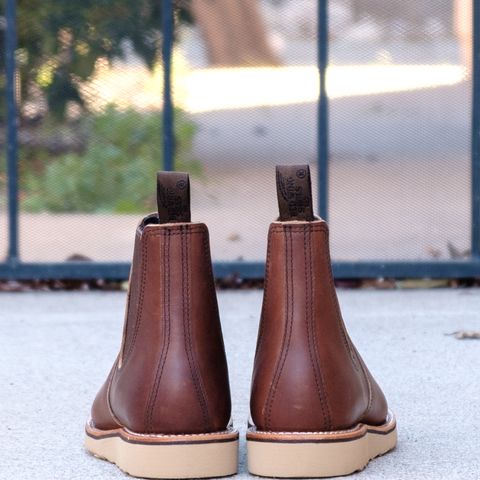 Red Wing Classic Chelsea in S.B. Foot Amber Harness
