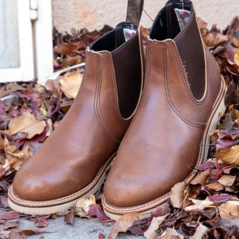 Red Wing Classic Chelsea in S.B. Foot Amber Harness