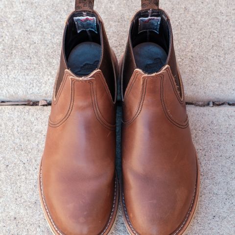 Red Wing Classic Chelsea in S.B. Foot Amber Harness