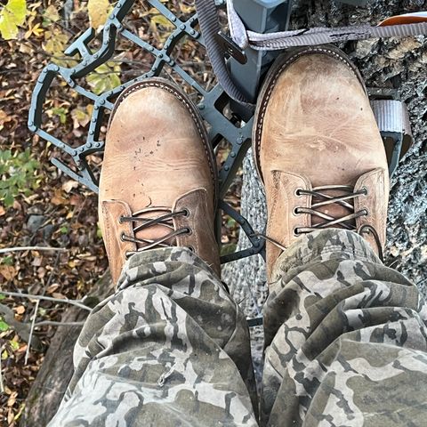 Truman Plain Toe Boot in Horween Natural Cypress