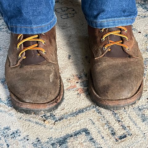 Nicks BuilderPro in Seidel 1964 Brown Roughout