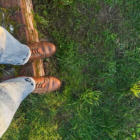 View photo of Red Wing Iron Ranger in S.B. Foot Copper Rough and Tough