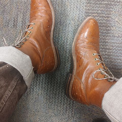 Search result thumbnail of Grant Stone Diesel Boot in Cognac Ostrich