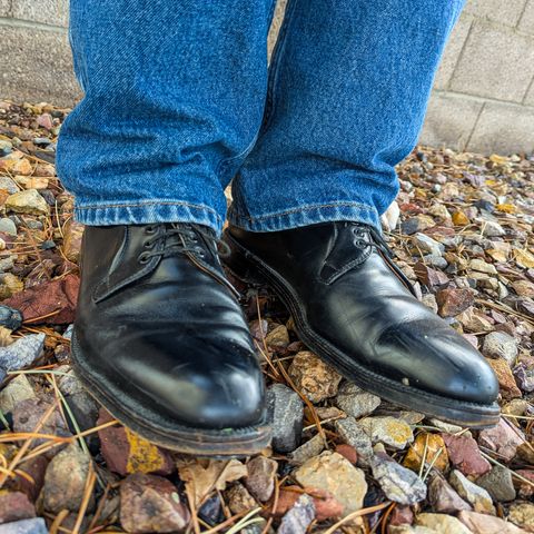 Alden 00069 Black Calfskin Plain Toe Blucher in Black Calfskin