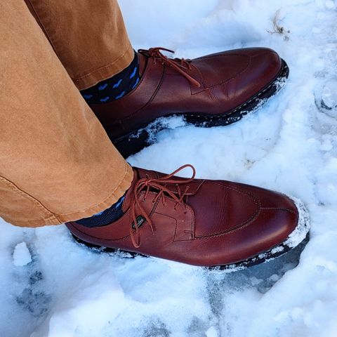 Paraboot Avignon