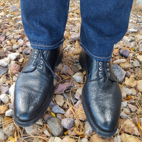 Search result thumbnail of Gravati Plain Toe Blucher in Black Peccary