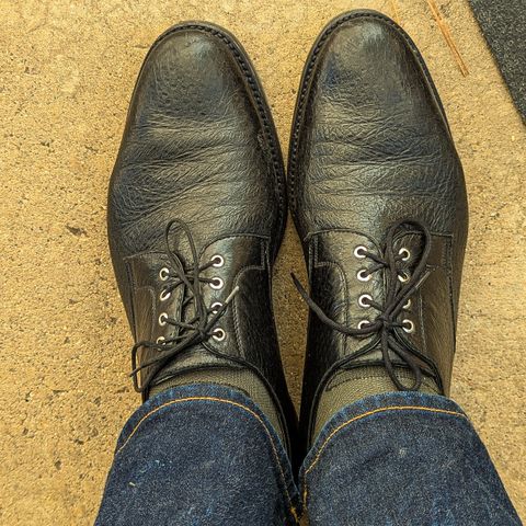 Search result thumbnail of Gravati Plain Toe Blucher in Black Peccary