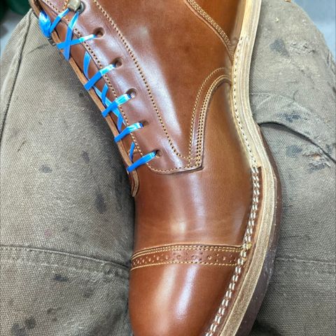 Onderhoud SVC03 Service Boot in Maryam Toscanello TPR Horsebutt