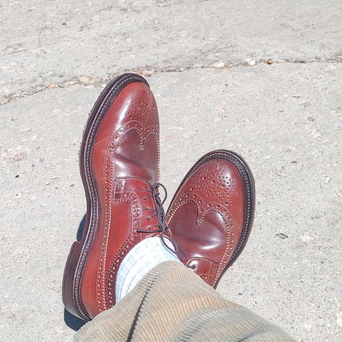 Grant Stone Longwing in Horween Garnet Shell Cordovan
