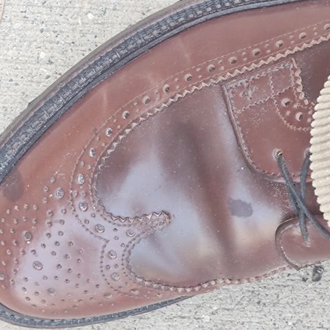 Grant Stone Longwing in Horween Garnet Shell Cordovan
