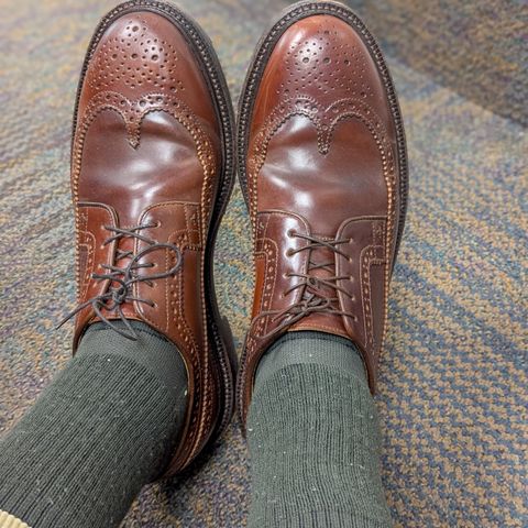 Grant Stone Longwing in Horween Garnet Shell Cordovan