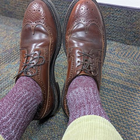 Grant Stone Longwing in Horween Garnet Shell Cordovan