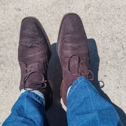 The Last Shoemaker Boston in Brown Suede
