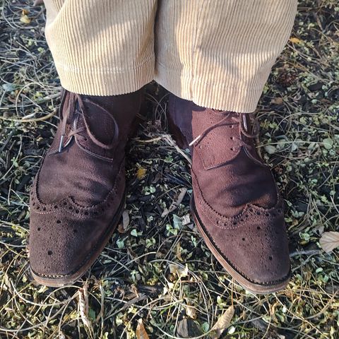 The Last Shoemaker Boston in Brown Suede