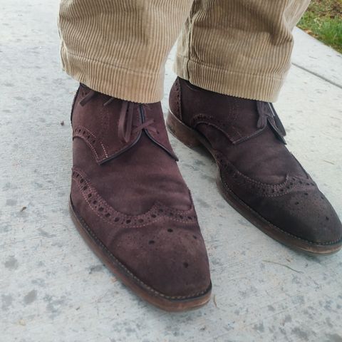 The Last Shoemaker Boston in Brown Suede