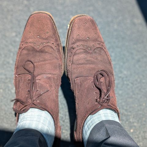 The Last Shoemaker Boston in Brown Suede